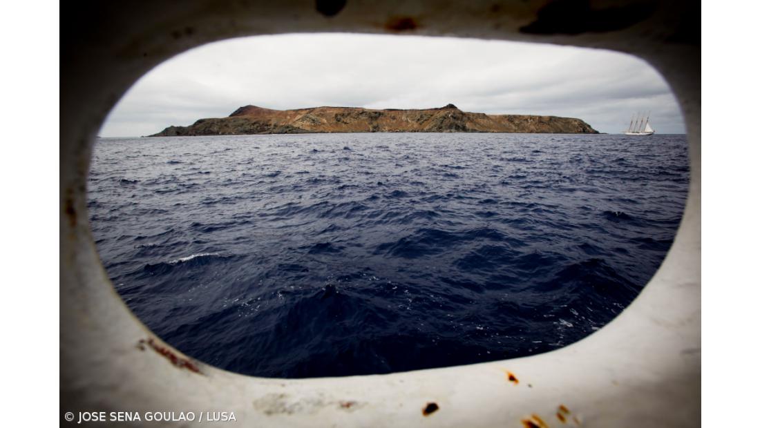 Vigilantes da Natureza preservam biodiversidade nas ilhas Selvagens 