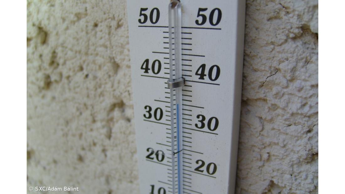 Quatro concelhos do distrito de Faro em risco máximo de incêndio