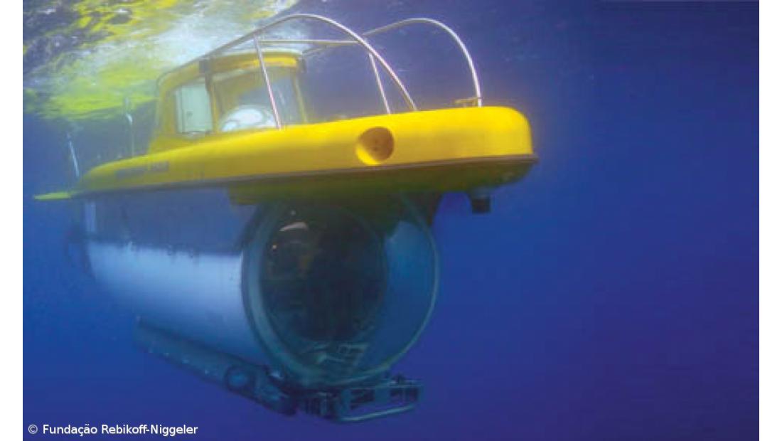 Submarino procura lulas gigantes