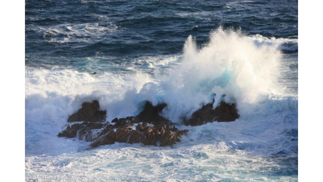 Campanha 'Açores Entre Mares 2013' começa na segunda-feira