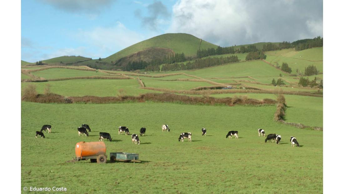 GAL passam a poder candidatar-se a projetos de cooperação interterritorial e transnacional