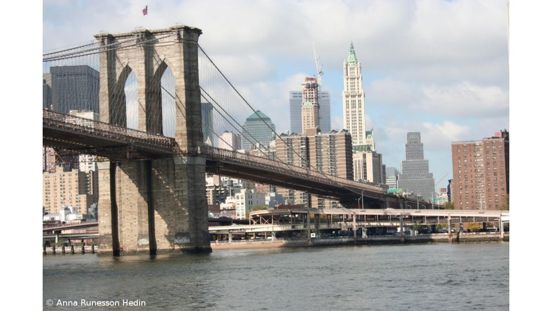 Um em cada seis nova-iorquinos sofre de fome