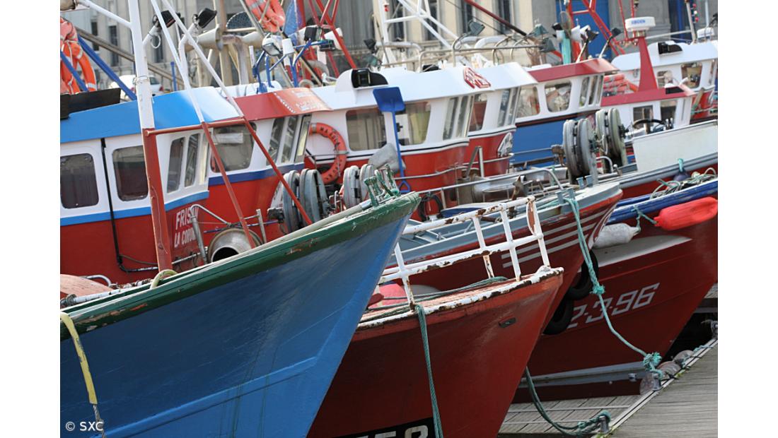 Governo dos Açores discorda de proposta de regulamento europeu sobre pescas 