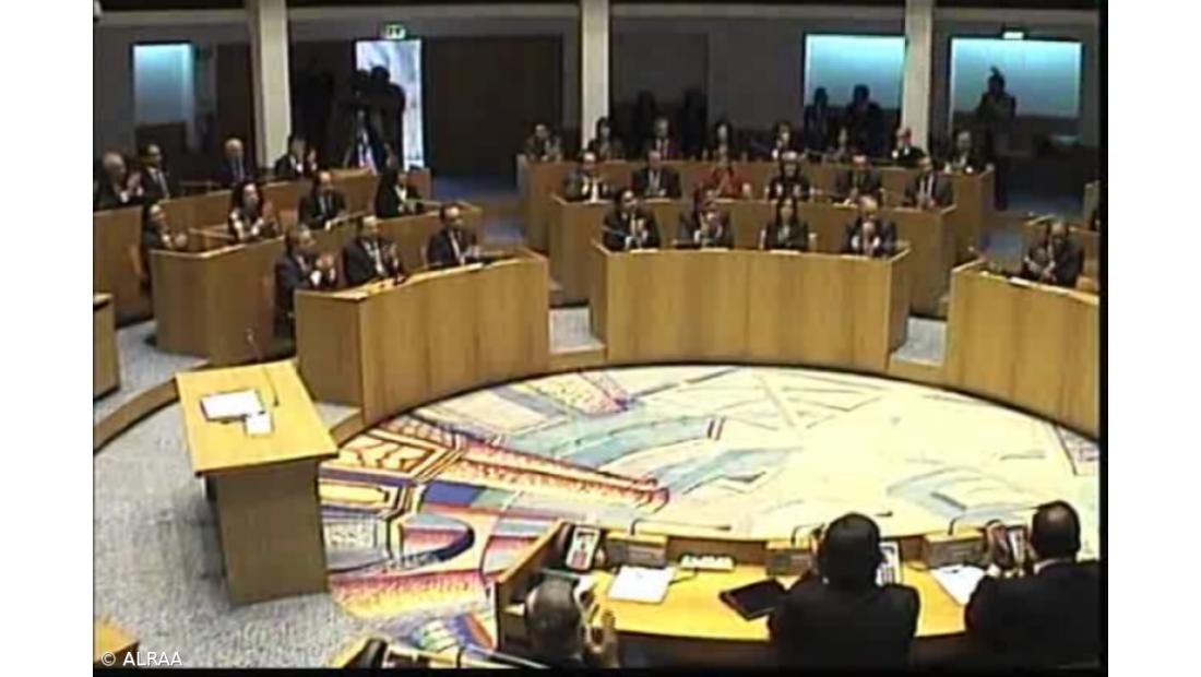 Aprovada proibição de abate de animais errantes nos Açores que entra em vigor em 2022