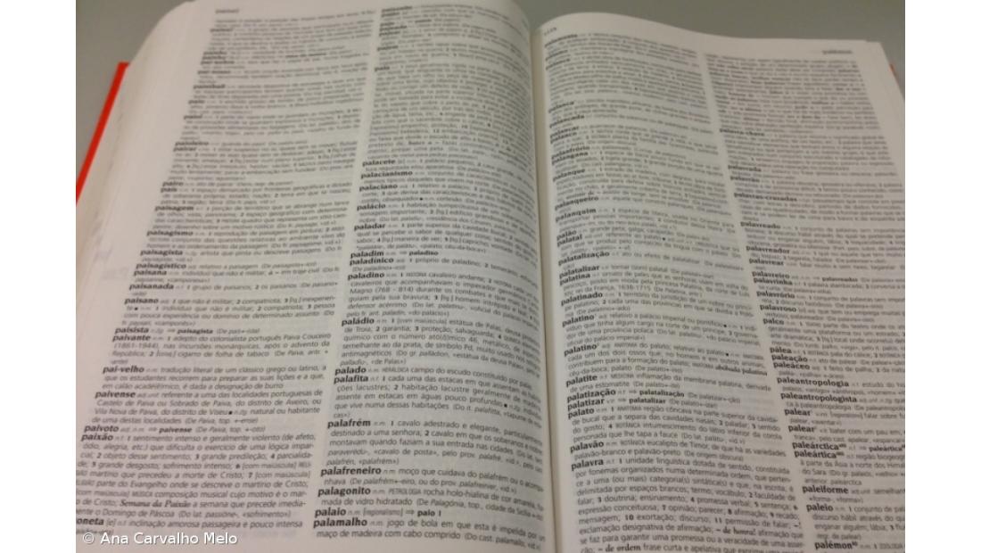 "Professor”, “enfermeiro” e “toupeira” lideram escolhas para "A Palavra do Ano"