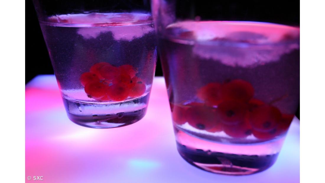 Açores lideram consumo de drogas e álcool a nível nacional