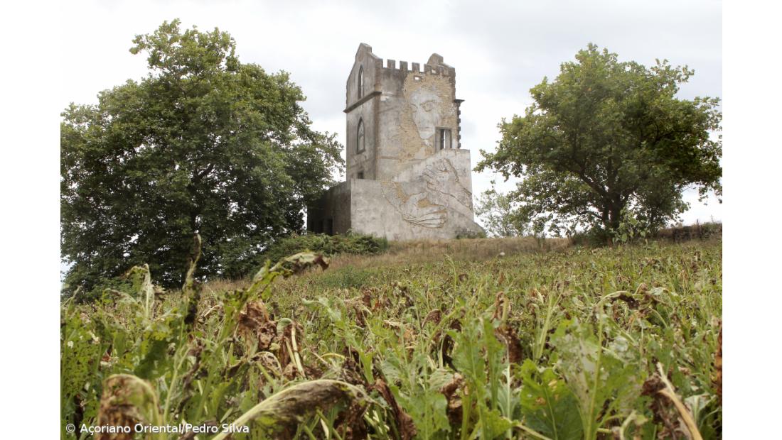 Português Vhils inaugura esta semana primeira exposição na Austrália