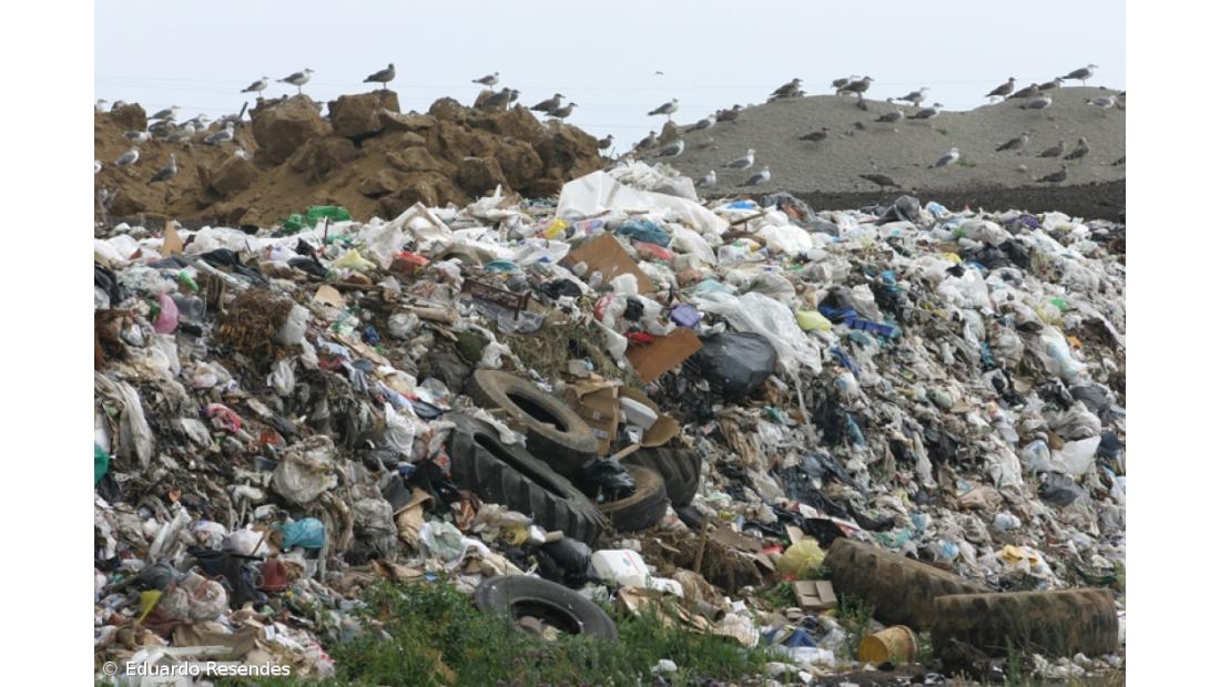  Quercus  apresenta queixa à Comissão Europeia  contra incineradora de São Miguel 