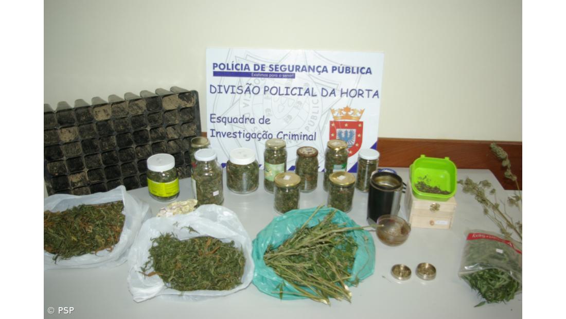 PSP detém dois suspeitos de tráfico e droga e apreende canábis