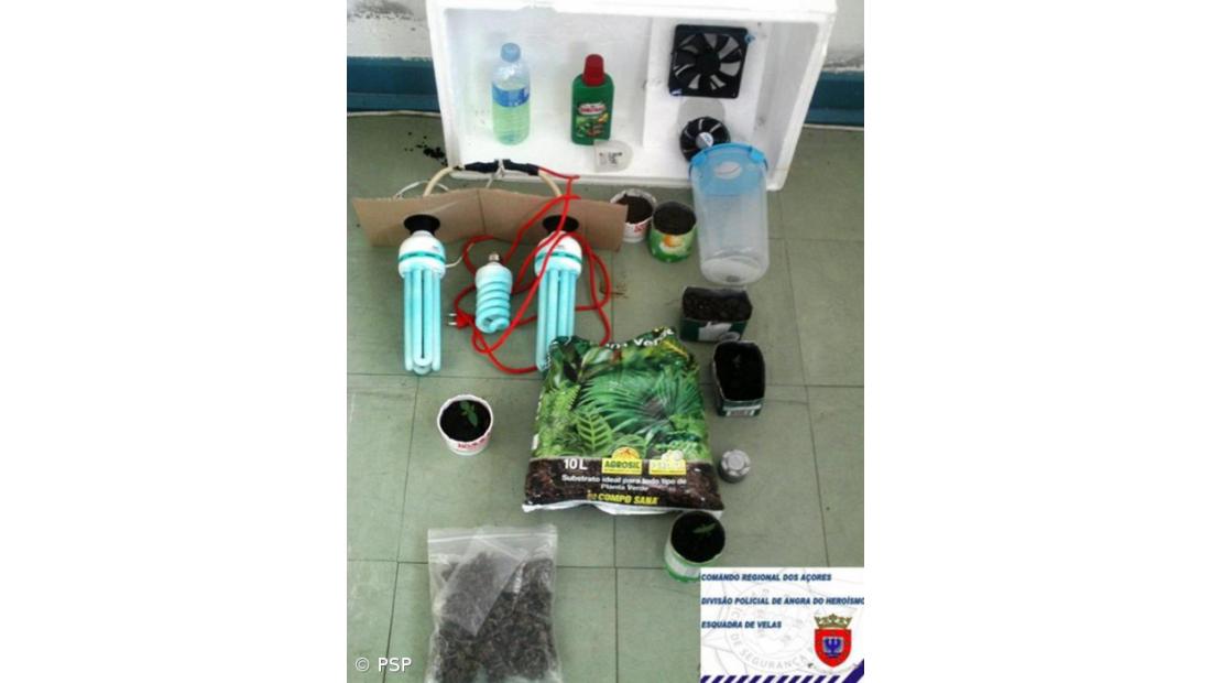  PSP detém em São Jorge jovem suspeito de tráfico e produção de droga