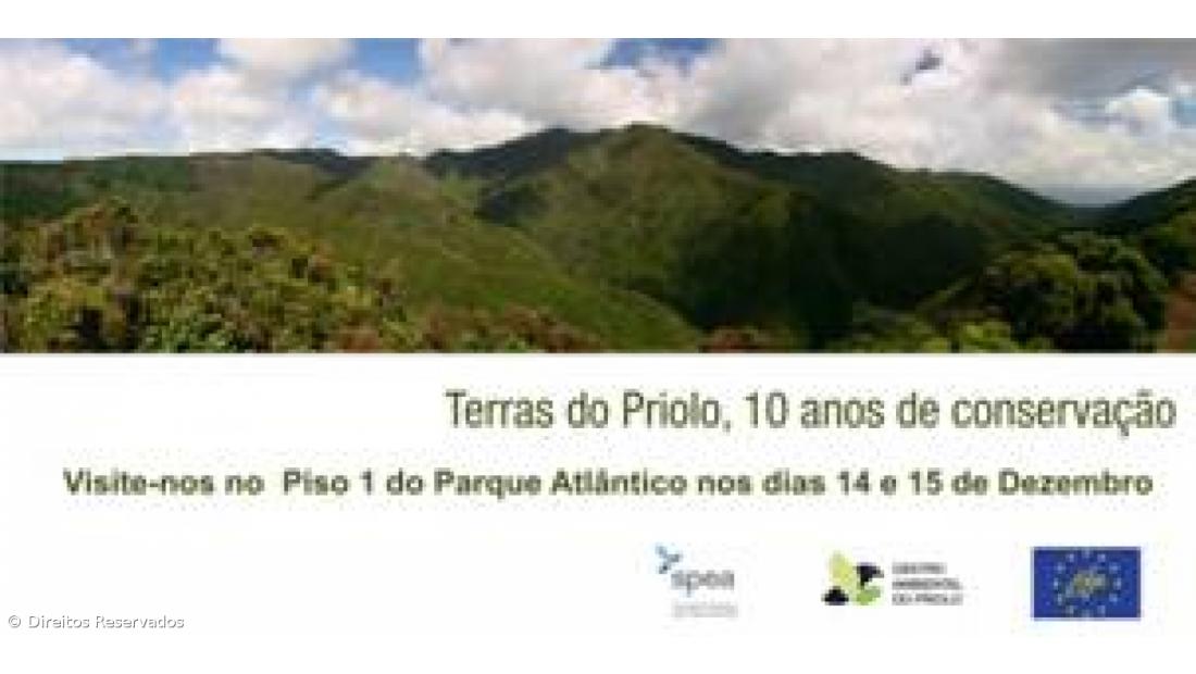 Parque Atlântico apresenta exposição "Terras do Priolo, 10 anos de conservação"