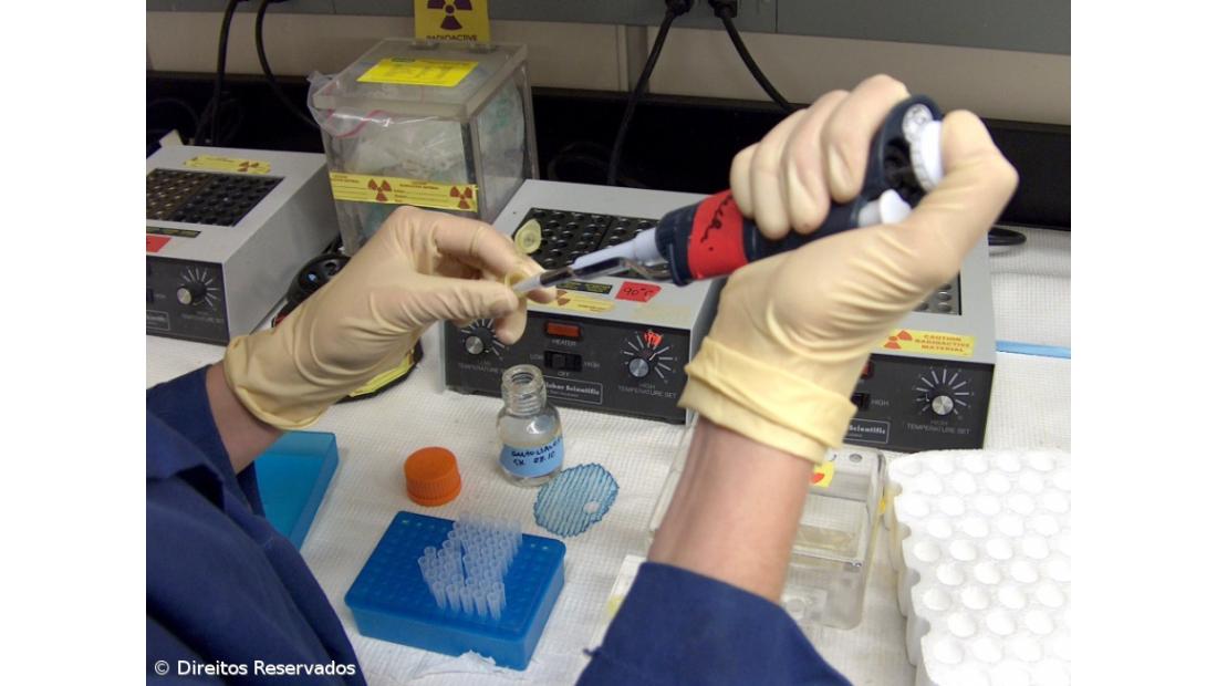 Superlaboratório no Porto procura respostas nas áreas do cancro e neurobiologia