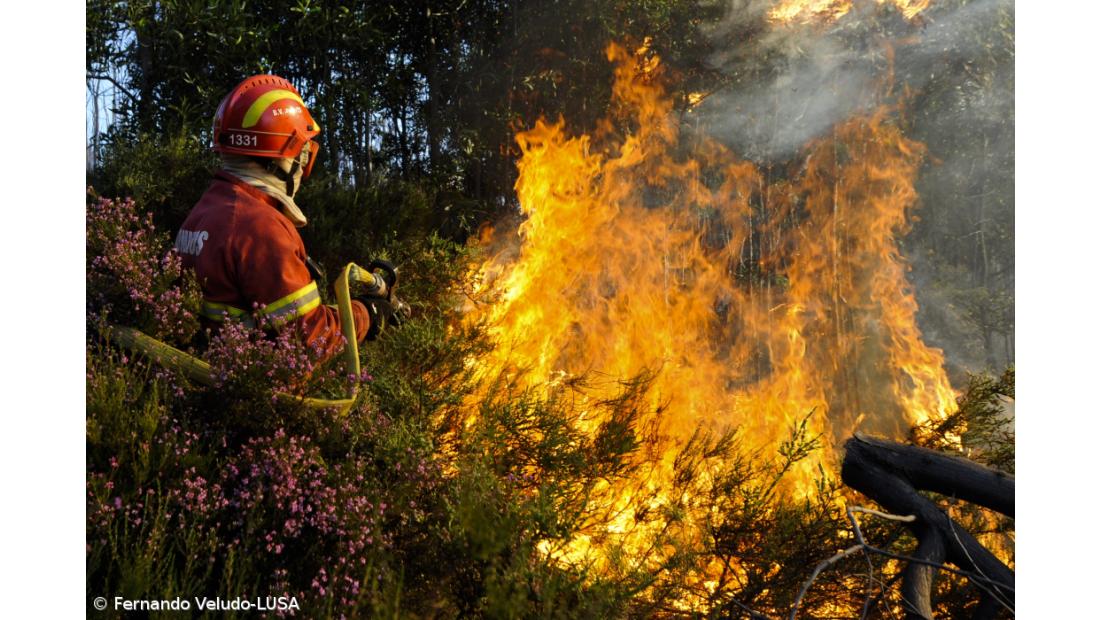 Governo dos Açores envia bombeiros para ajudar combate às chamas