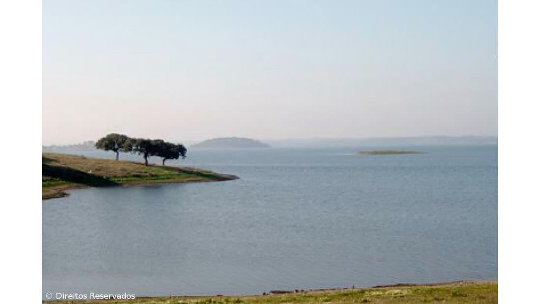 Contrato de investimento da primeira fase do Parque Alqueva terá valor de 50 ME