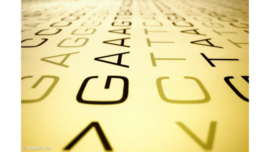 Genes influenciam mais as notas do que pais ou professores