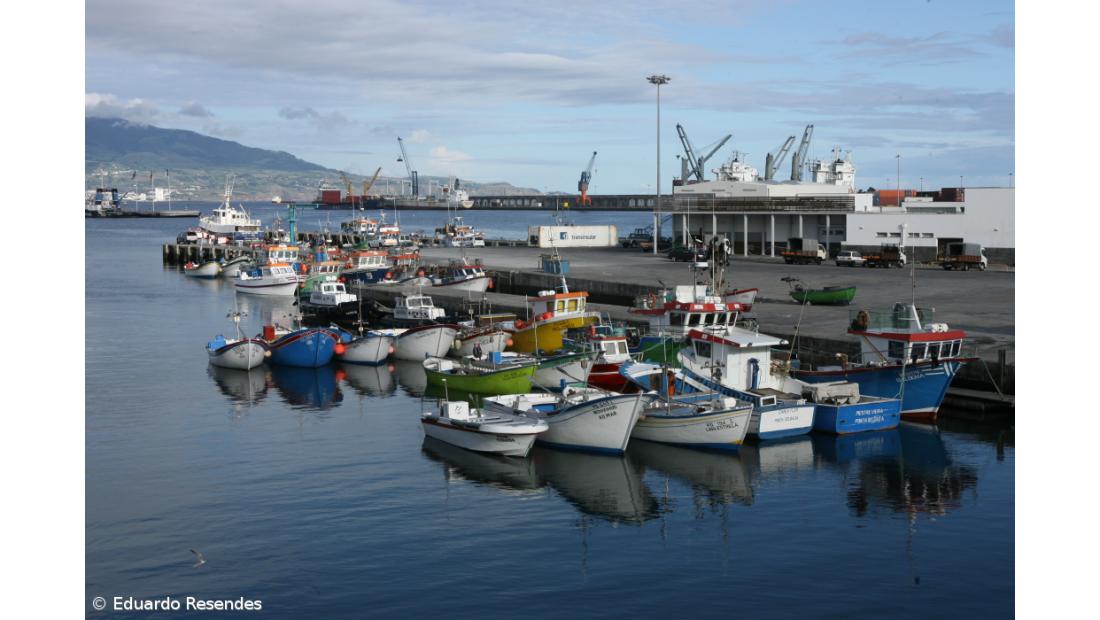 Federação preocupada com "exclusão" dos pescadores de terra dos Açores nos apoios