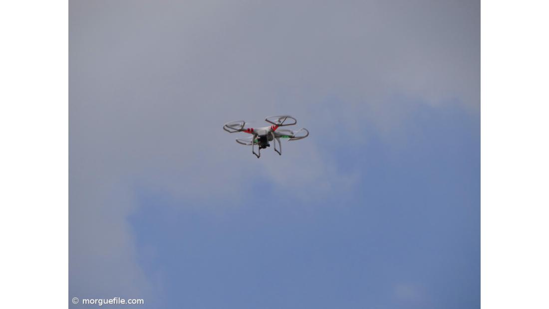 Drones e sondas entram na agricultura de tradição familiar no Alentejo