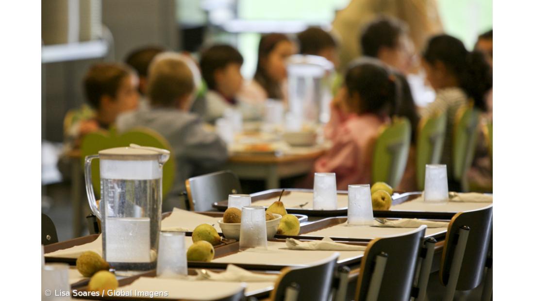 Refeições vegetarianas consumidas nas escolas são muito residuais