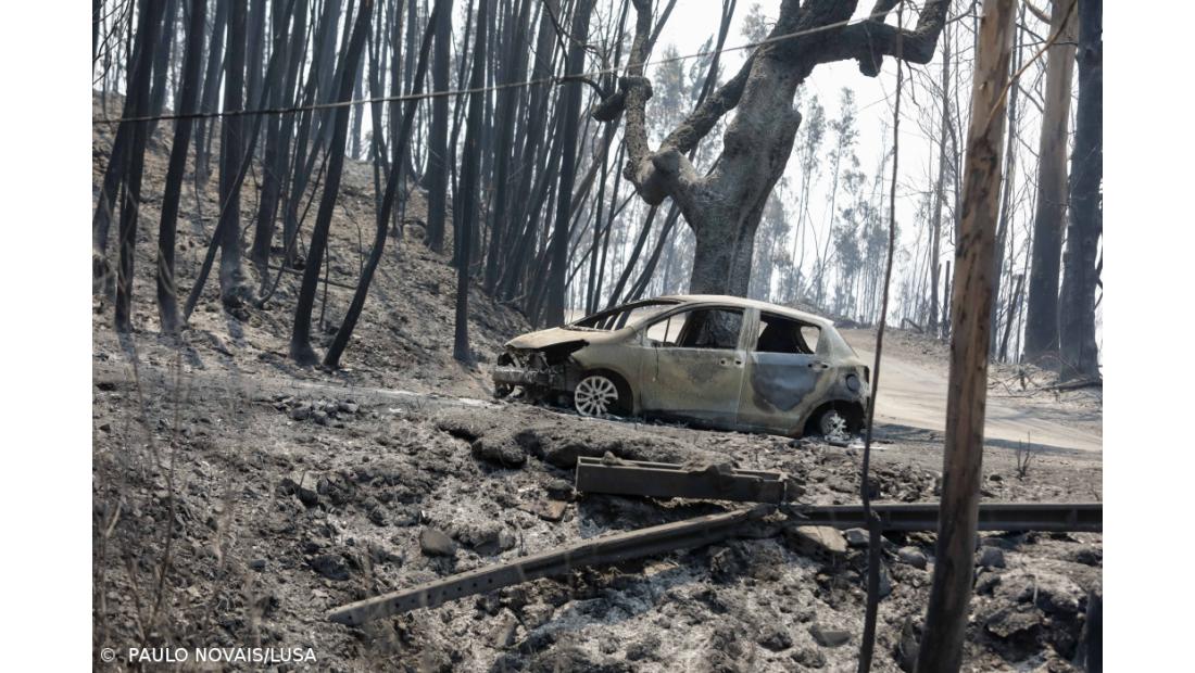 Chamas mataram 66 pessoas e atingiram cerca de 500 casas