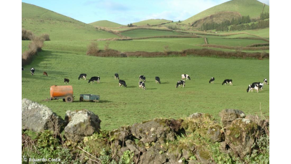 Portugal 2020 com 53% de execução mas com sete programas abaixo da metade