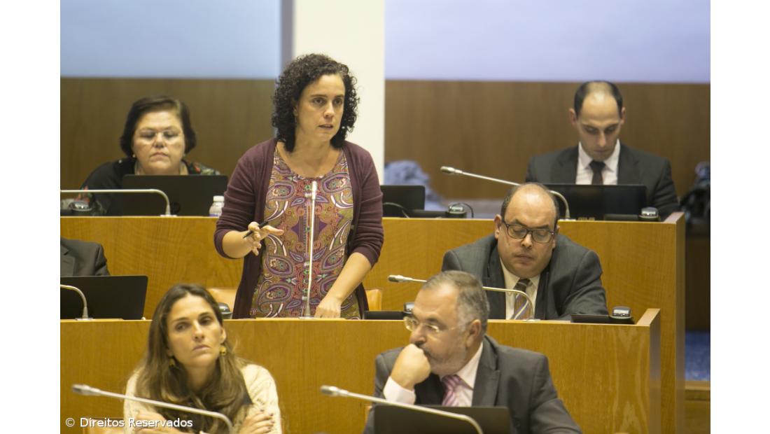 Parlamento regional aprova proposta que visa o bem-estar animal