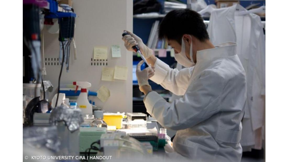 Médicos espanhóis descobrem combinação de antibióticos que evita infeções hospitalares