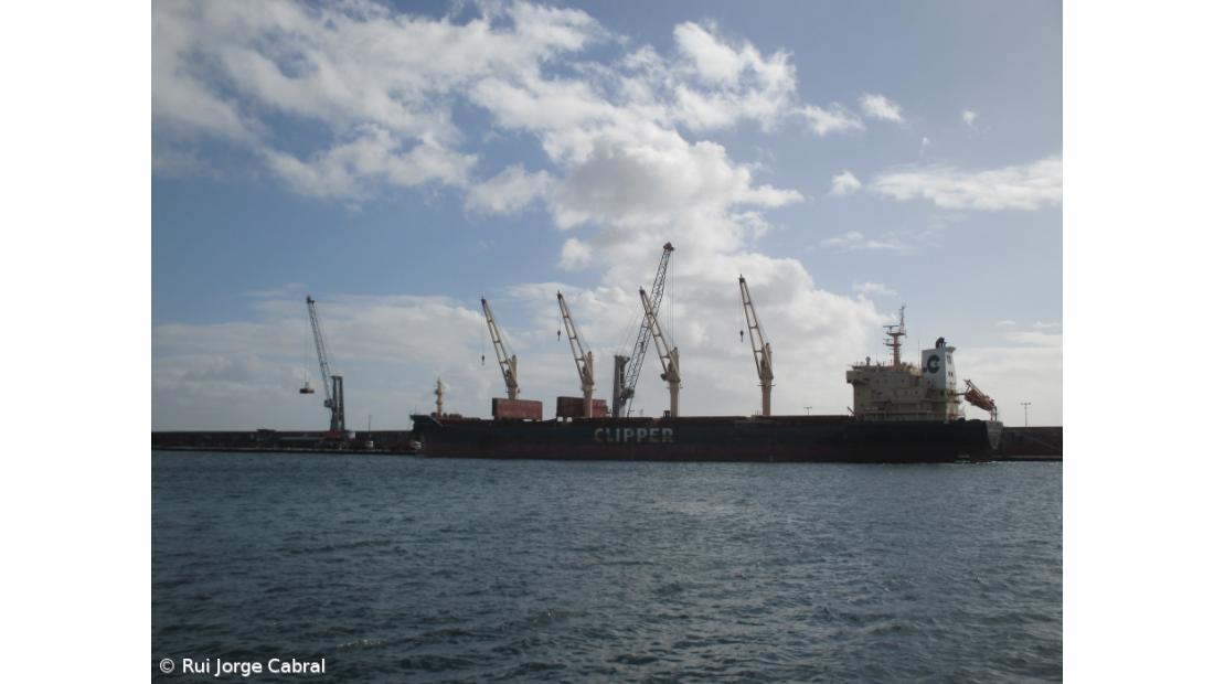 Governo solicita novos serviços mínimos perante novo pré-aviso de greve dos estivadores em Lisboa