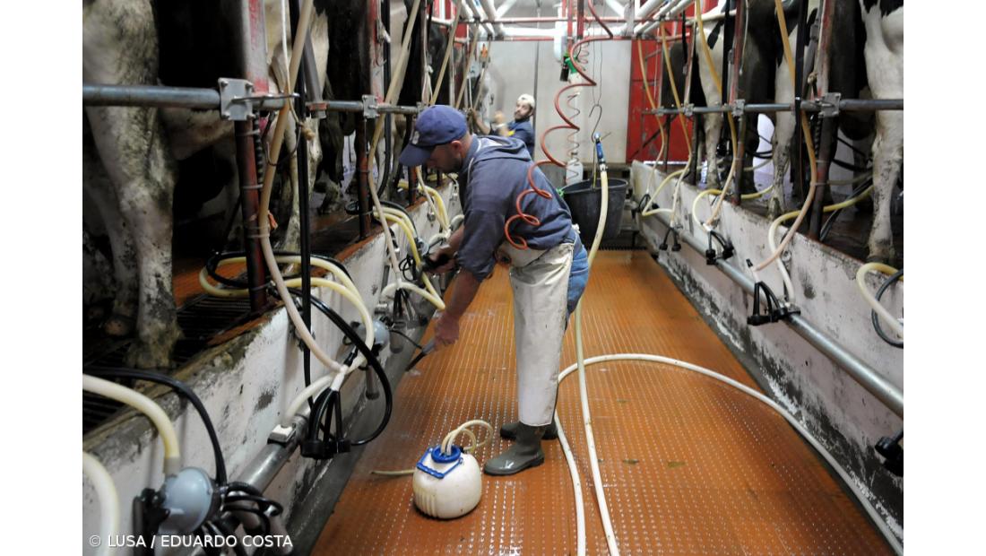 Comissário europeu diz que Açores já têm os meios para atenuar final das quotas 