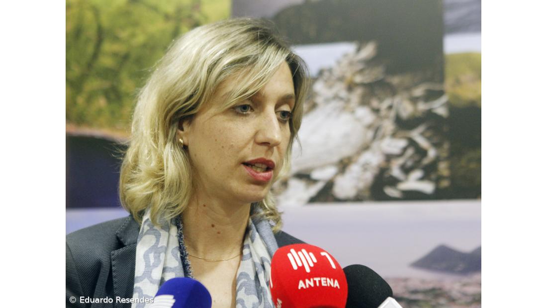 Marta Guerreiro diz que números da operação da Delta são tratados de forma "leviana"