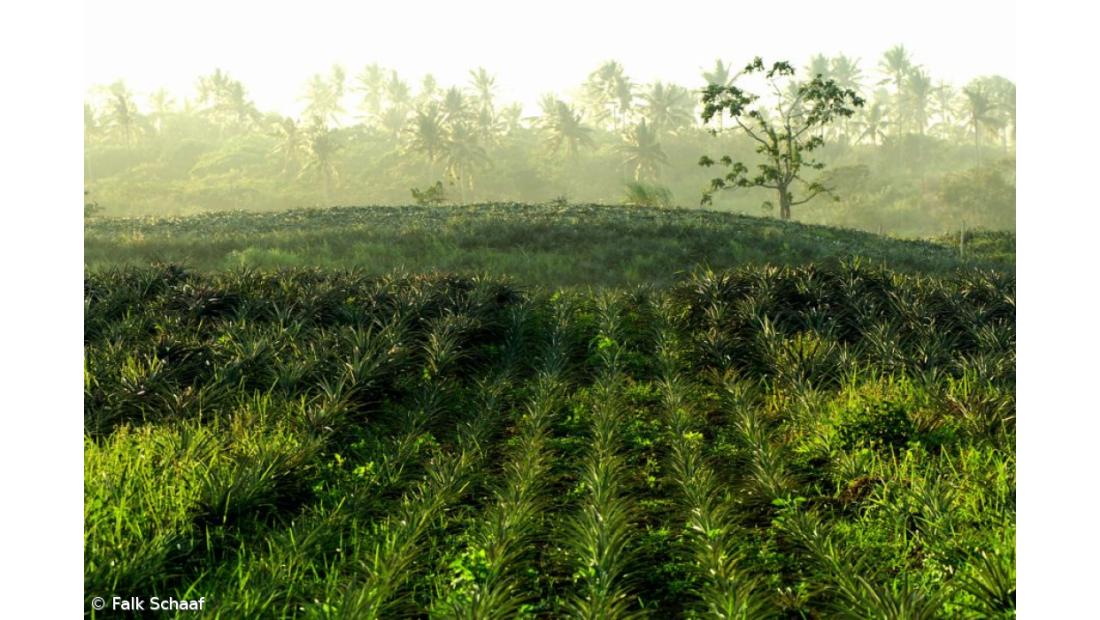 Desenvolvimento Regional e Agricultura asseguram coordenação política do novo QREN