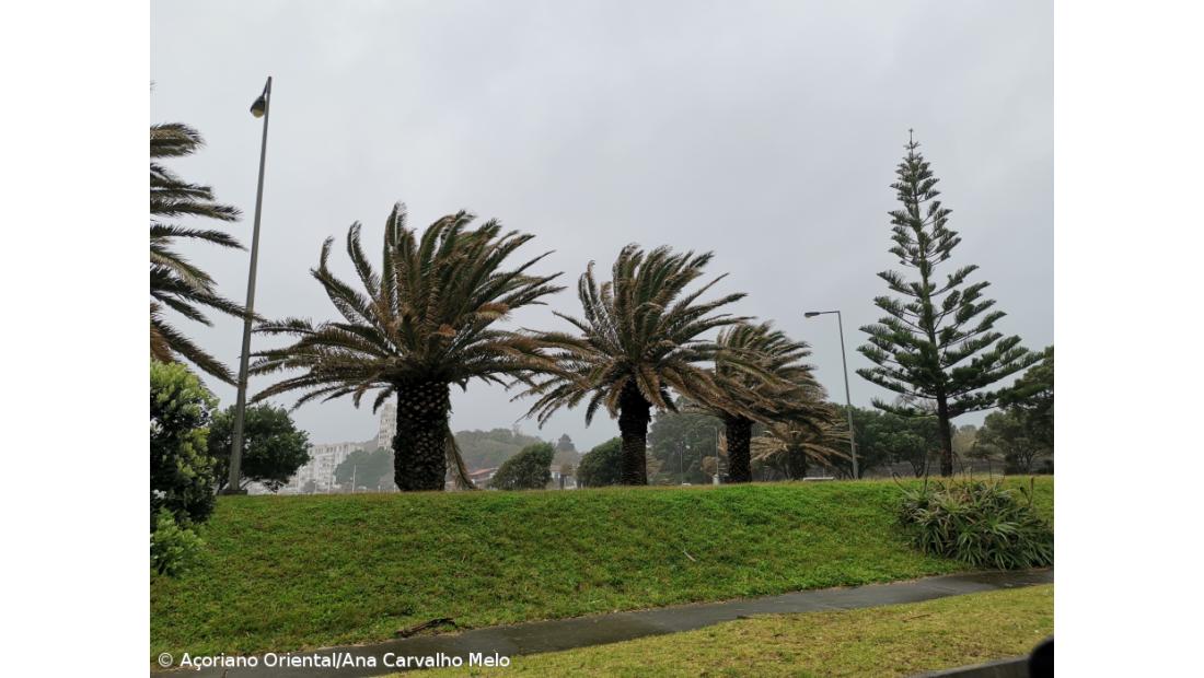 Proteção Civil dos Açores alerta para previsões de chuva e vento