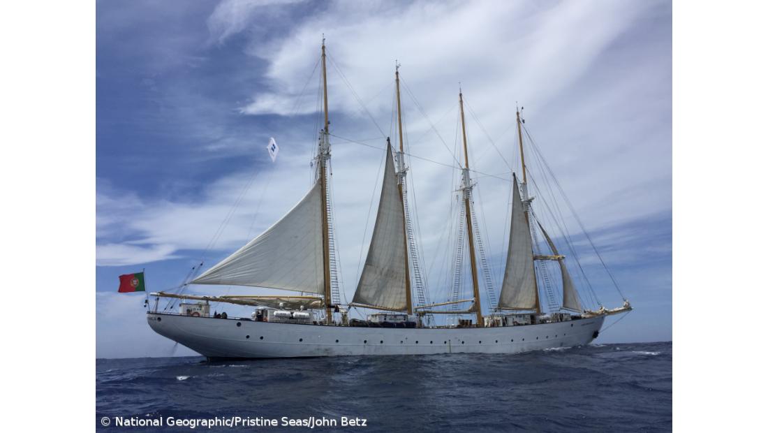 "Blue Azores" vai aumentar área marinha protegida nos Açores – Imagem 1