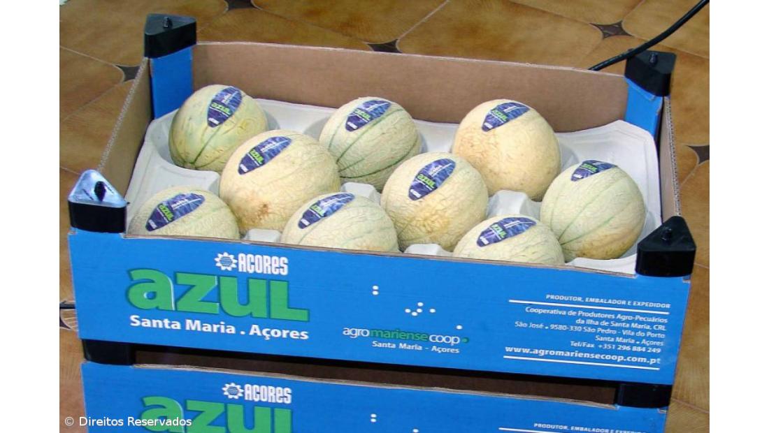 Artesã quer usar meloa de Santa Maria, para fazer sabonetes