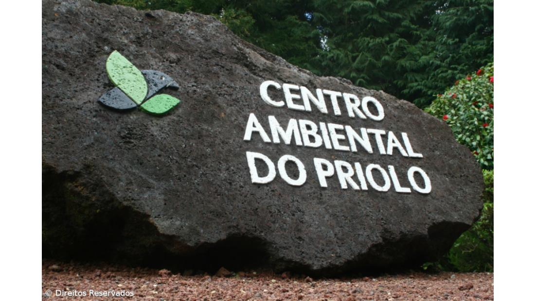 Atividade do Centro do Priolo em risco por falta de financiamento – Imagem 1