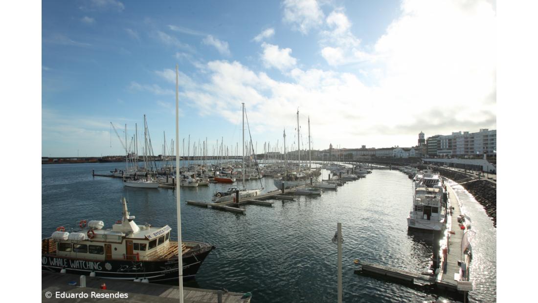 Marinas açorianas estão no 'limite da capacidade' 