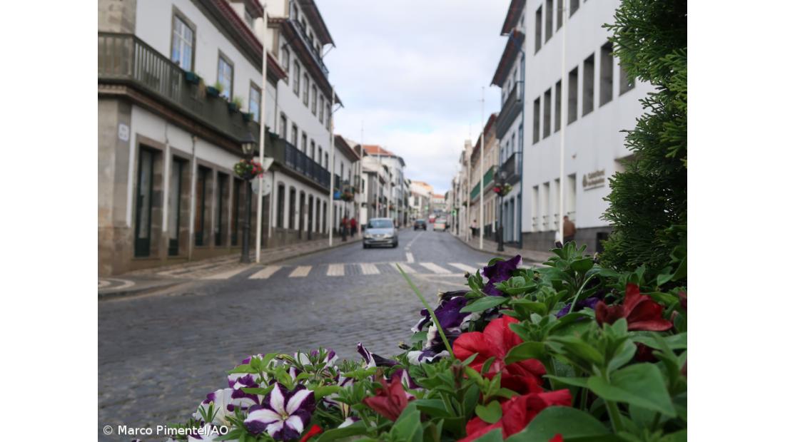 Ligações marítimas à Terceira merecem reflexão do próximo Governo