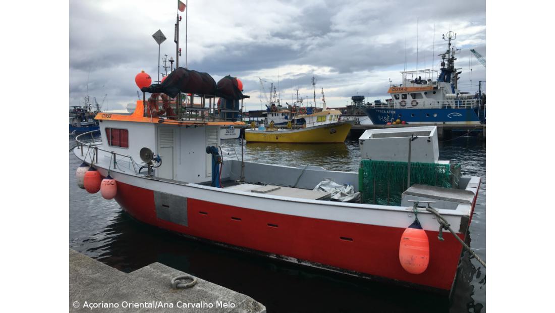 Mestres de pesca nos Açores poderão ser sujeitos a sanções com sistema de pontos