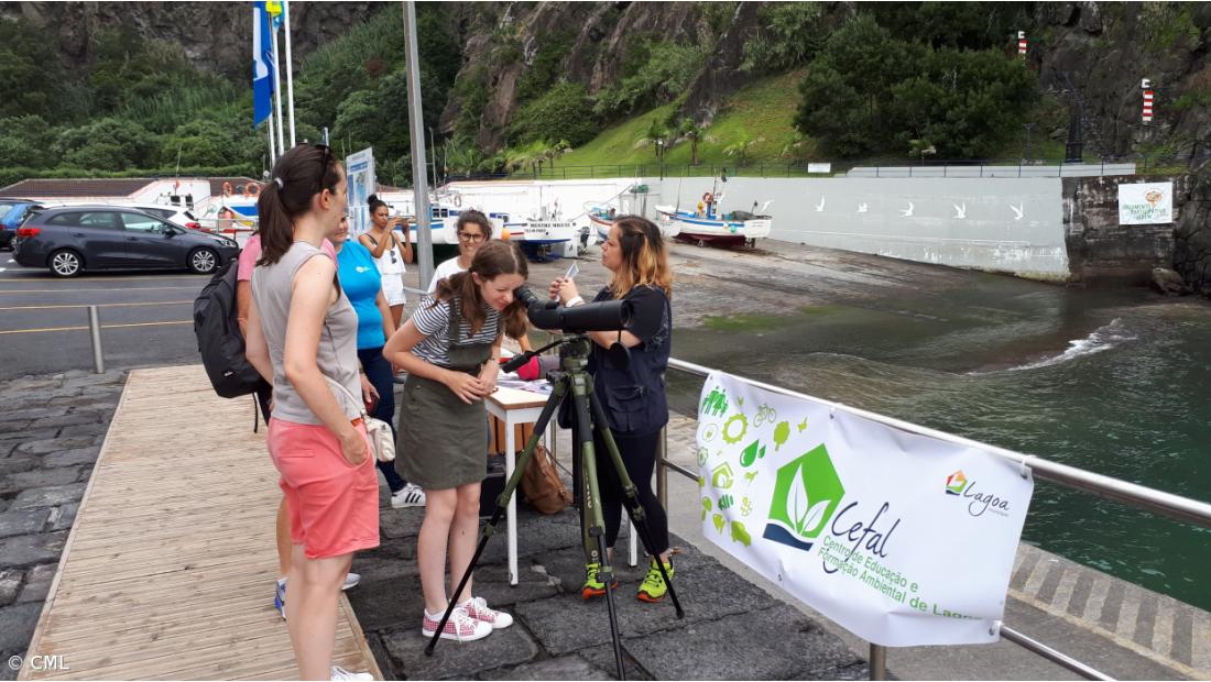 Birdwatching na zona balnear da Caloura – Imagem 1