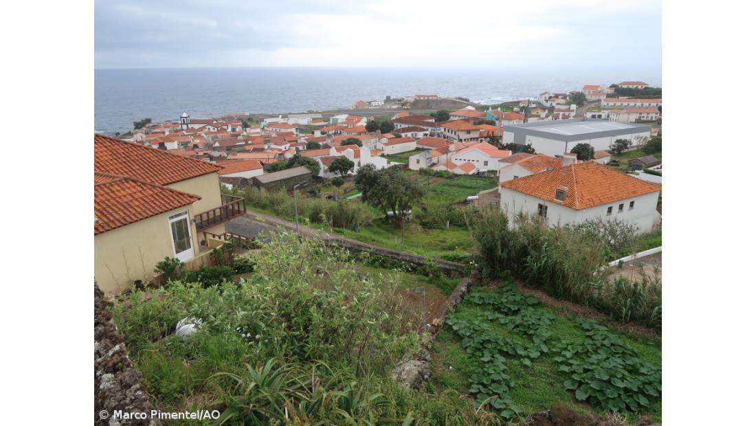 Ilha do Corvo apaga iluminação pública até 08 de novembro para salvar aves marinhas