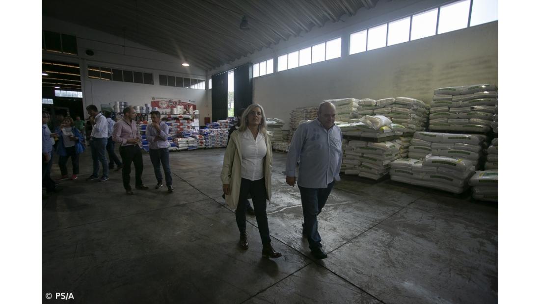 Governo do PS vai defender produtores de leite