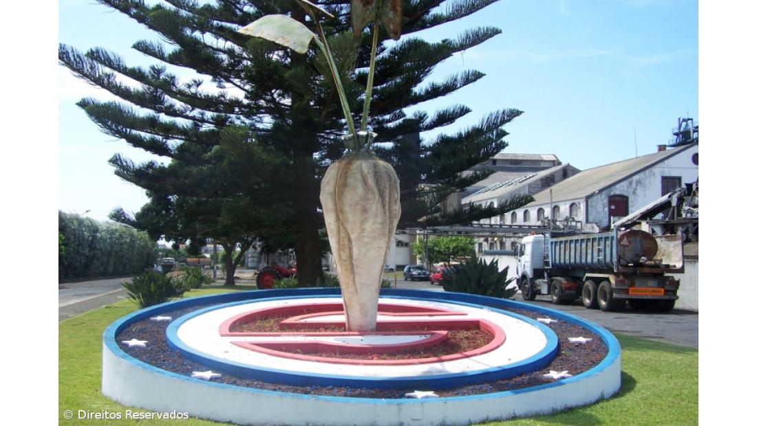 Autoridade da Concorrência viabiliza compra da SINAGA 