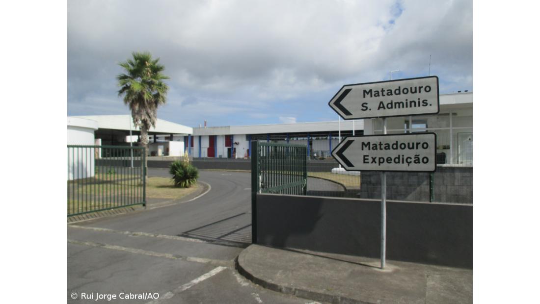 Sindicato dos trabalhadores dos matadouros e governo chegam a acordo