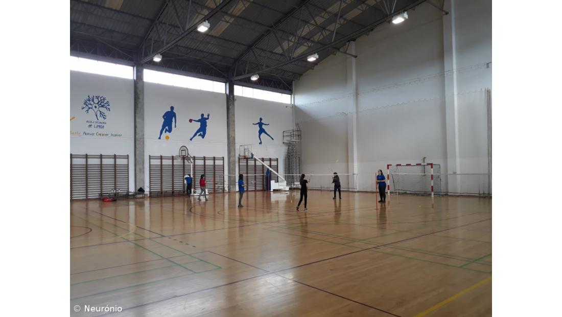 Ensino Especializado em Desporto: aposta ganha! – Imagem 2