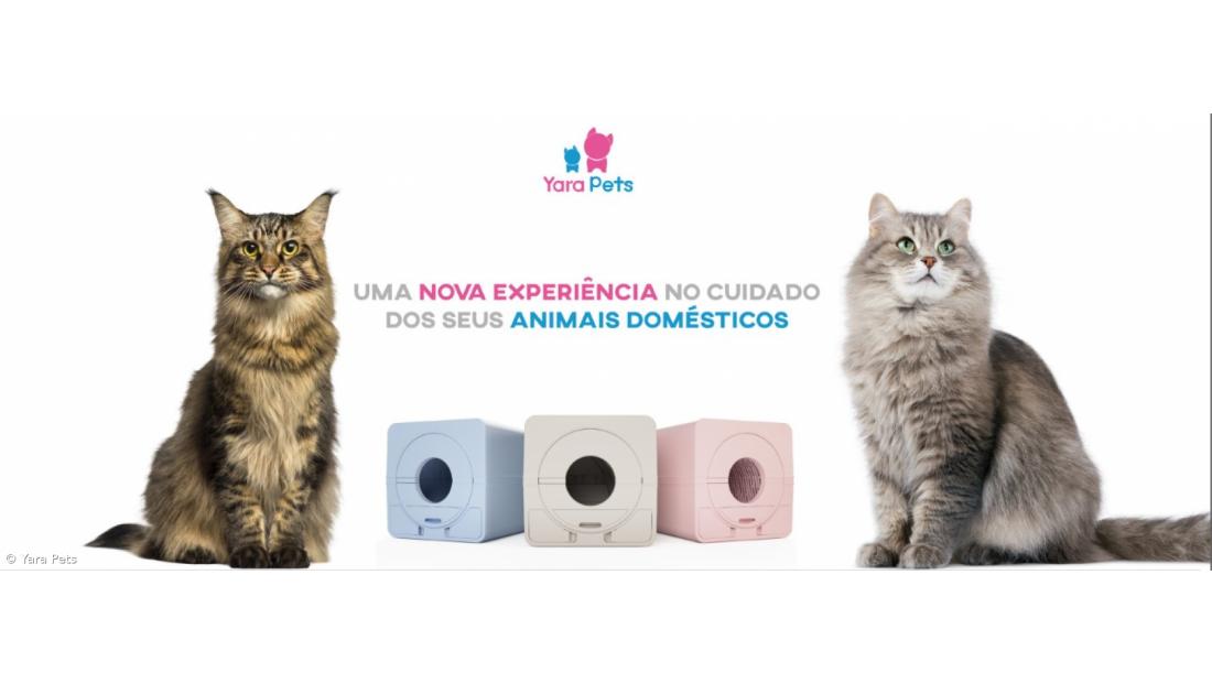 Aqui (nem se vai notar que) Há Gato – Imagem 1