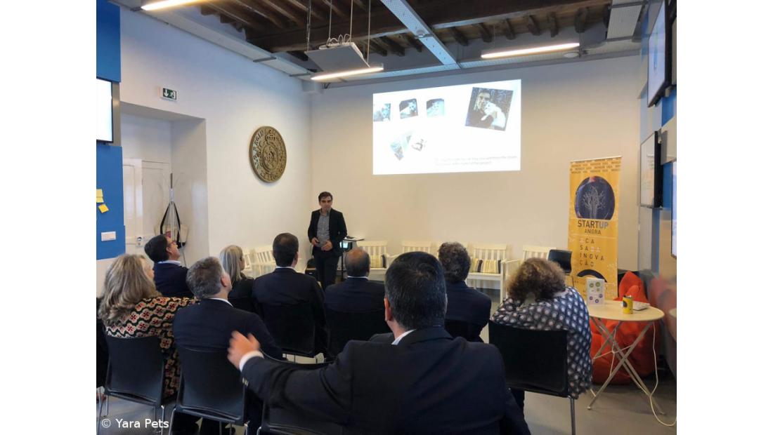 Aqui (nem se vai notar que) Há Gato – Imagem 2