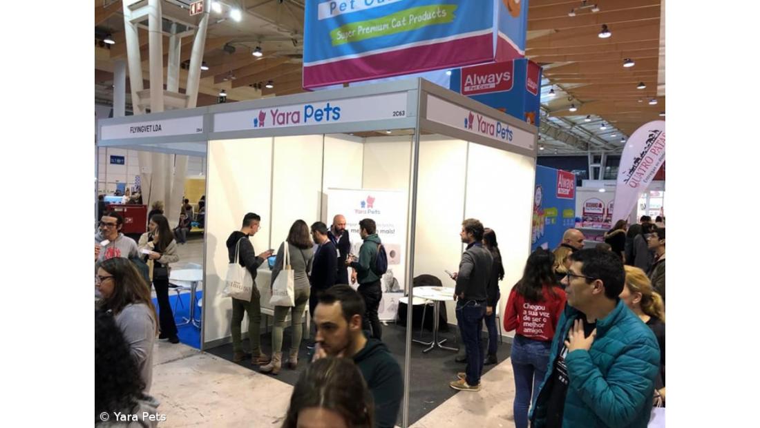 Aqui (nem se vai notar que) Há Gato – Imagem 3