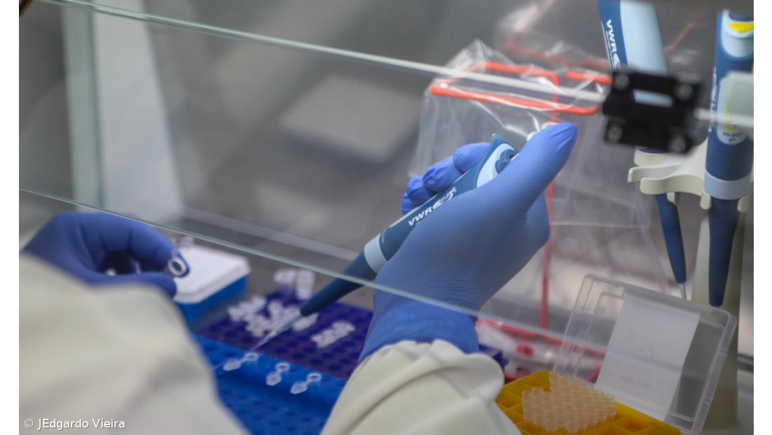 Açores registam 41 novos casos e 28 recuperações