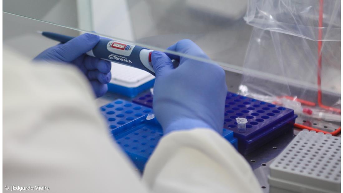 Covid-19: Vasco da Gama anuncia que tem 16 futebolistas infetados