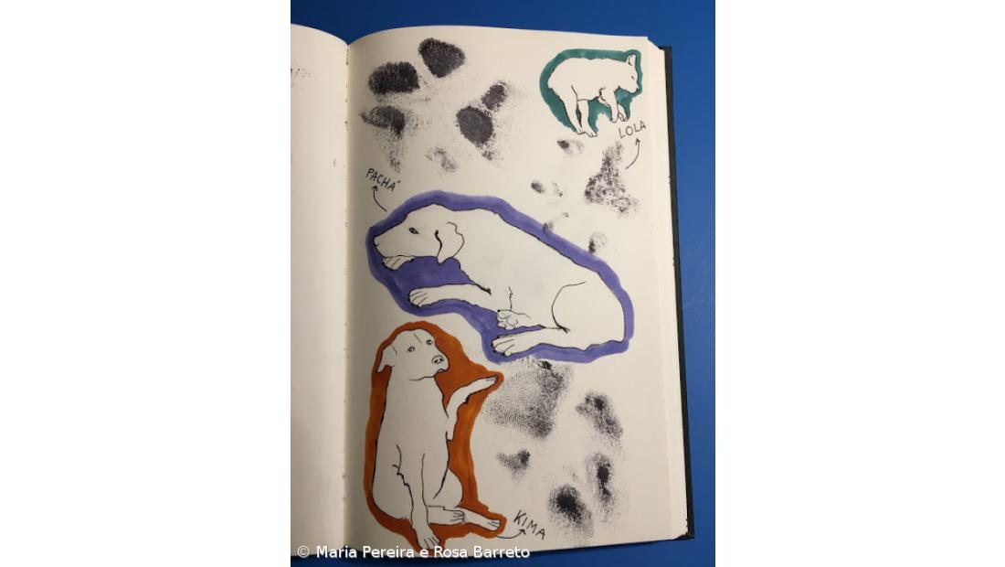 # dia 12 - o meu animal de estimação