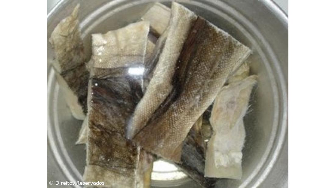 Cada português come em média 15 kg de bacalhau por ano sobretudo no Natal
